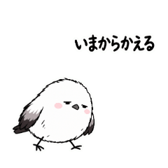 ゆきぽて