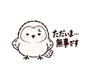 きどる