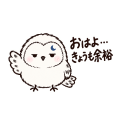 きどる