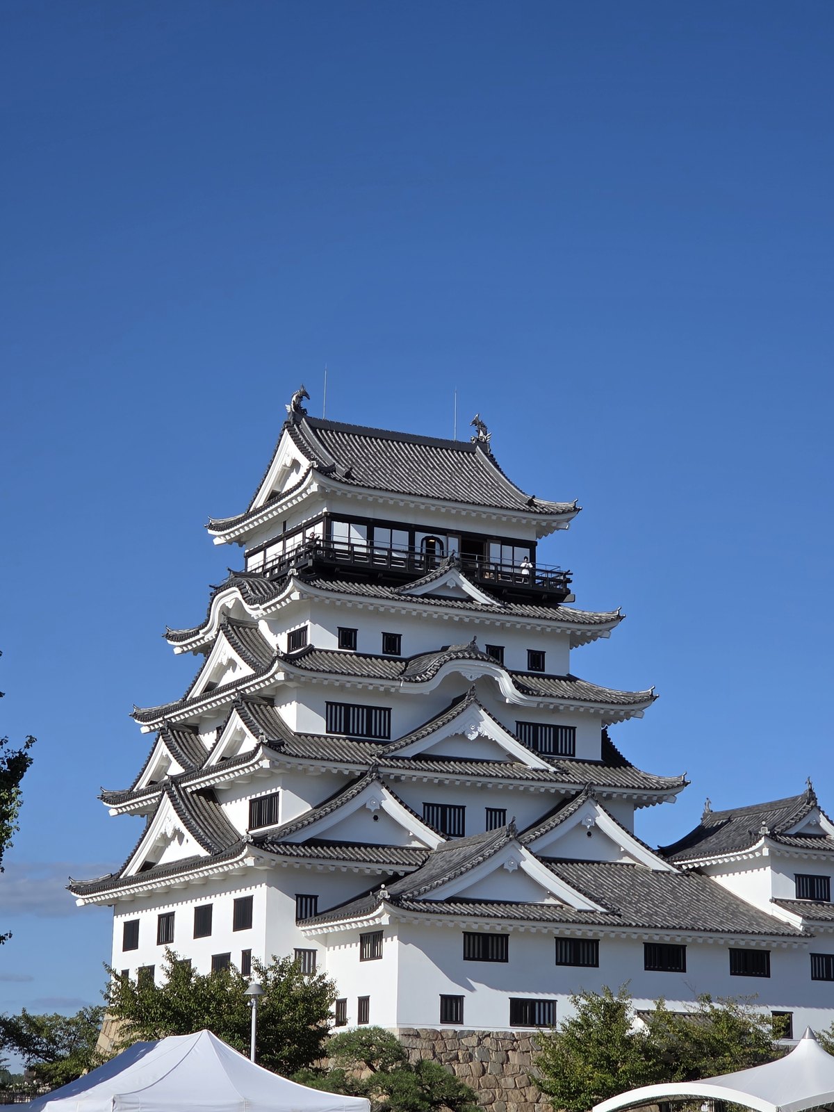 10月の一枚