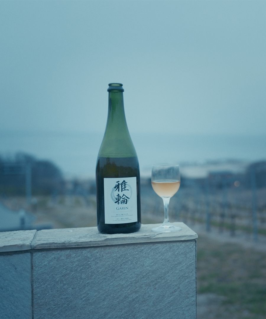 Garin wine overlooking the vineyard at dusk