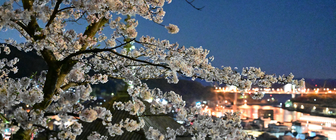 尾道市公式ホームページ掲載の天寧寺と尾道の夜景
