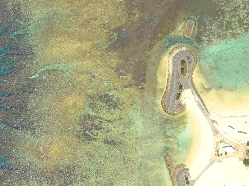 空中写真(国土地理院・0.5m)