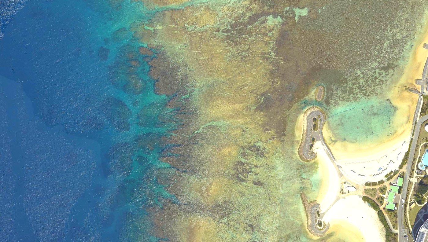 海洋博公園沖のサンゴ礁とエメラルドビーチ(空中写真)