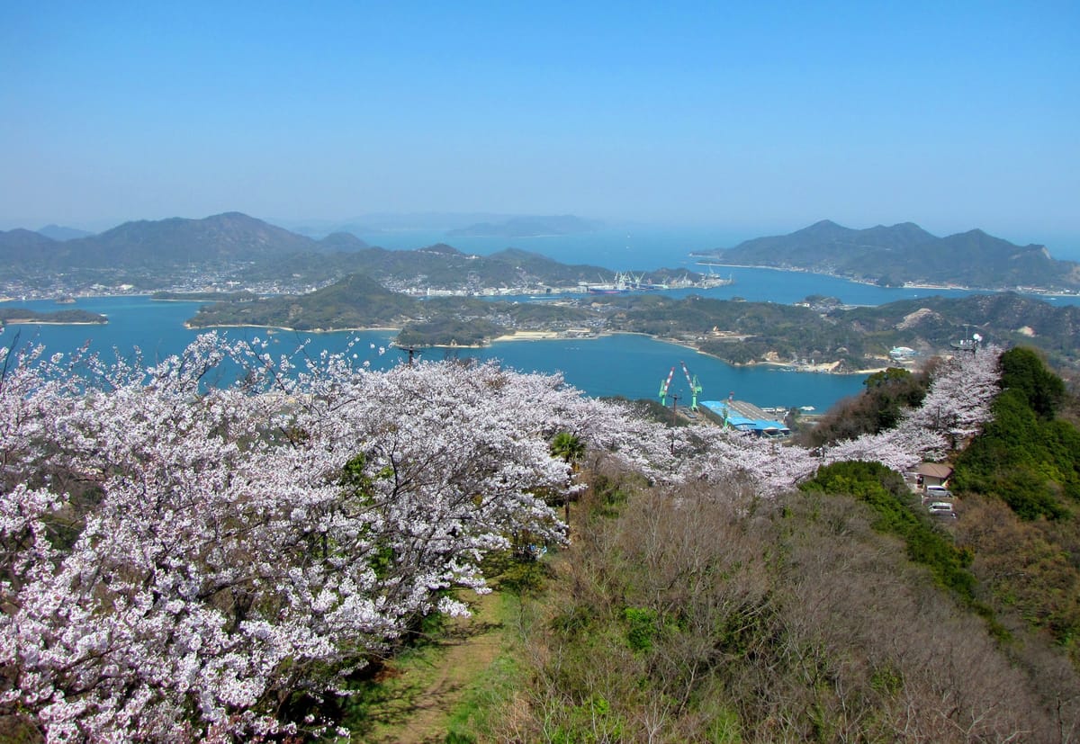 岩城島・積善山の山頂から。桜ごしの多島海