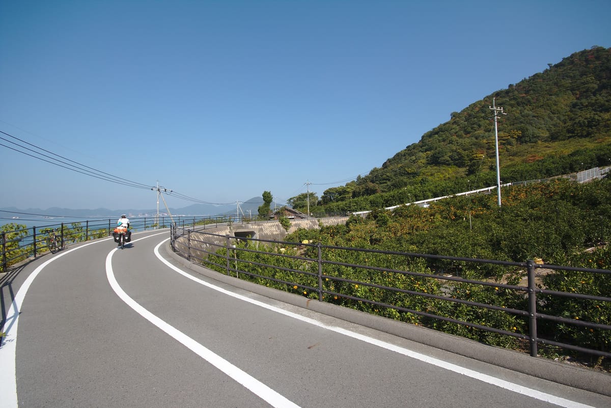 The cycling road climbing to the Tatara Bridge past fruiting citrus groves, Ikuchijima