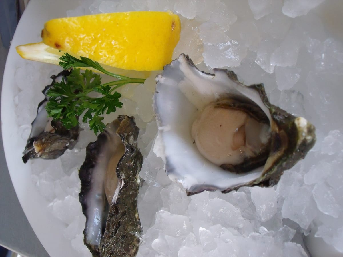 Raw oysters on ice with lemon and parsley