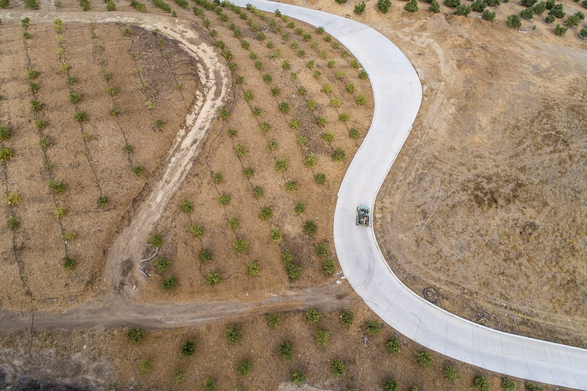 カリフォルニア州ソミス、空から見た若いアボカドとメイヤーレモンの果樹園