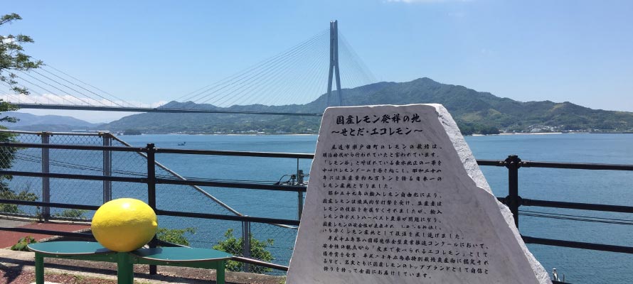 瀬戸田の風景写真